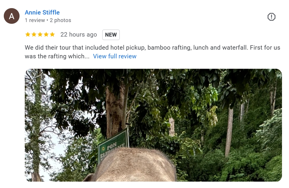 pon elephpant chiangmai thailand reviews